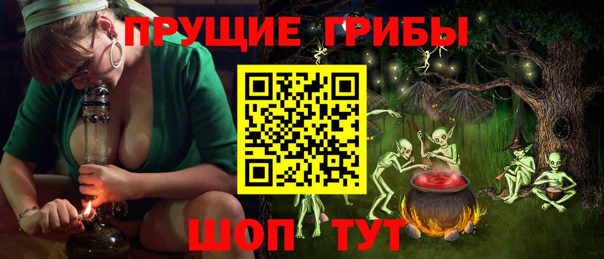 магазин продажи наркотиков  Вход с VPN  Верхняя Пышма  Галлюциногенные грибы Psilocybine cubensis 