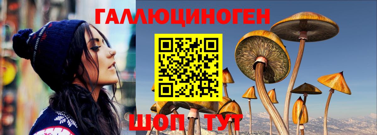 Галлюциногенные грибы мухоморы Верхняя Пышма